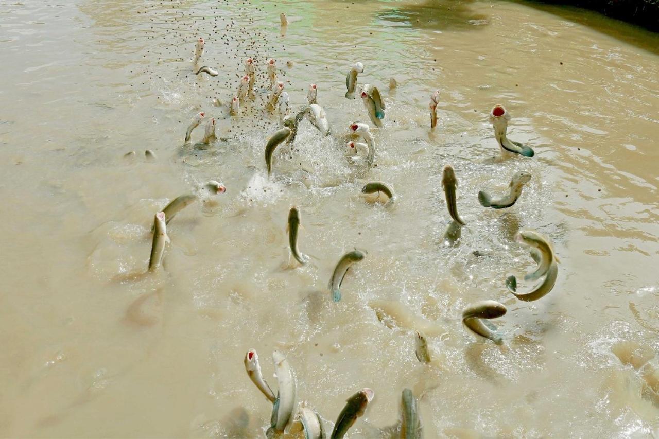 Отель Khu Du Lich Sinh Thai Hoang Hao Виньлонг Экстерьер фото